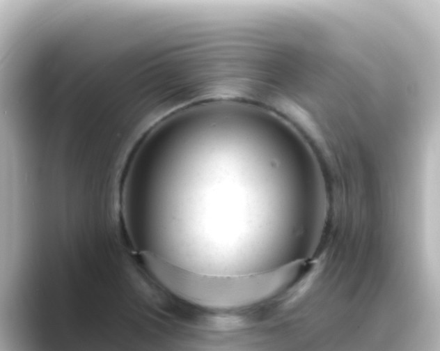 X0000089431226200706221205