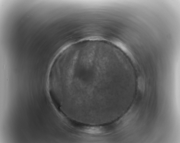 X0000089431229200706221205