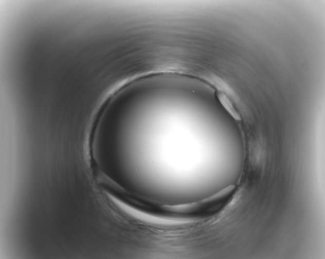 X0000089431230200706221205