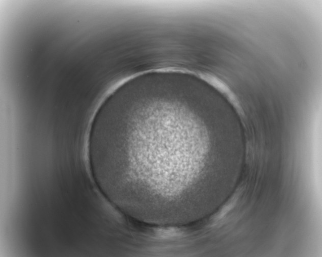 X0000089431231200706221205