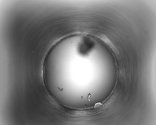X0000089431232200706221205
