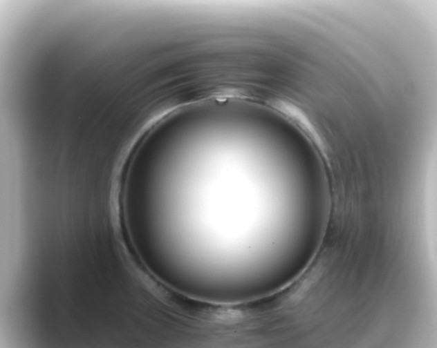 X0000089431235200706221205