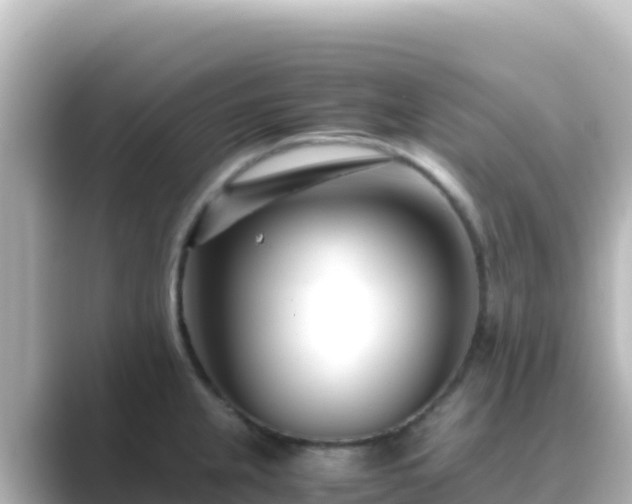 X0000089431237200706221205