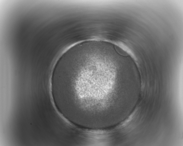 X0000089431239200706221205