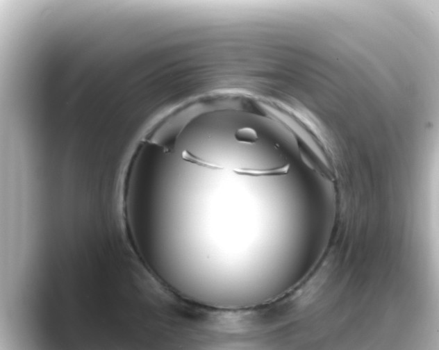 X0000089431240200706221205