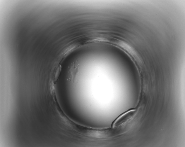 X0000089431241200706221205