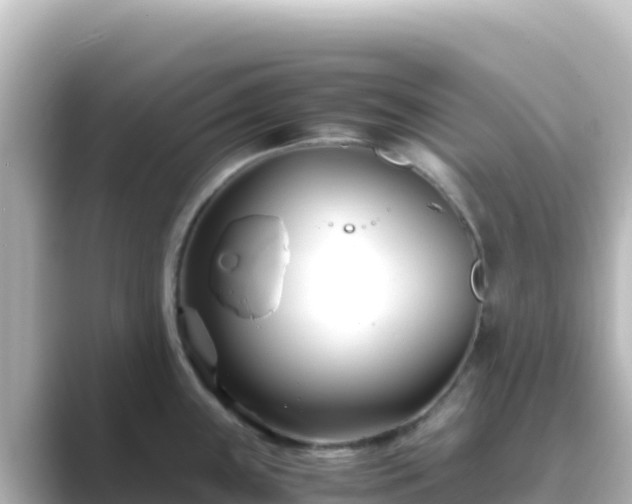X0000089431243200706221205
