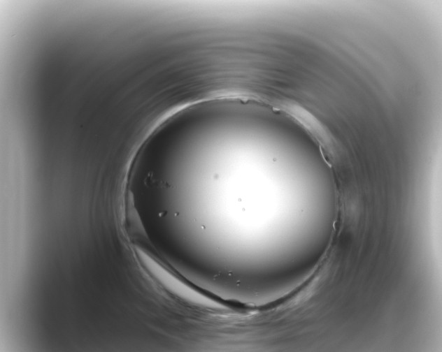 X0000089431244200706221205