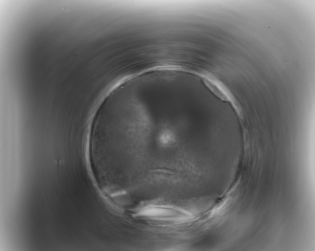 X0000089431245200706221205