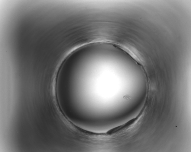 X0000089431246200706221205
