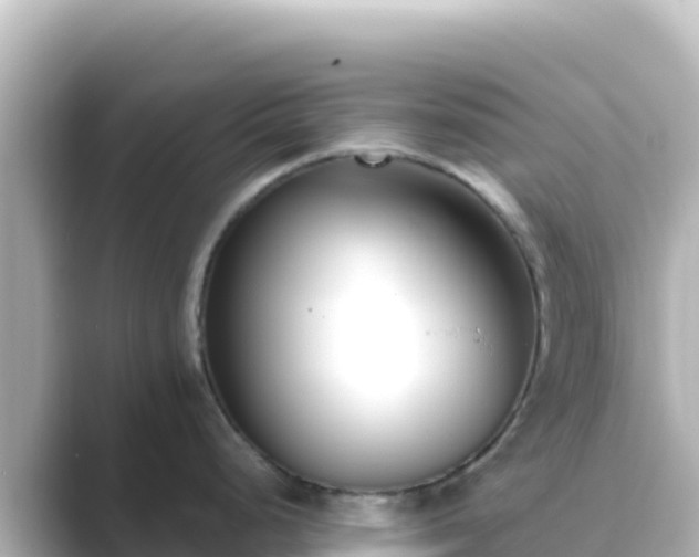 X0000089431248200706221205
