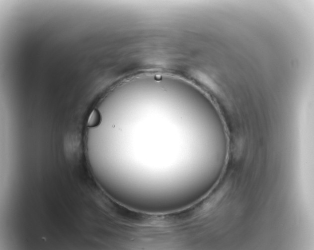 X0000089431259200706221205