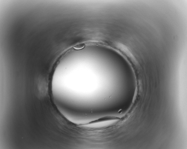 X0000089431260200706221205