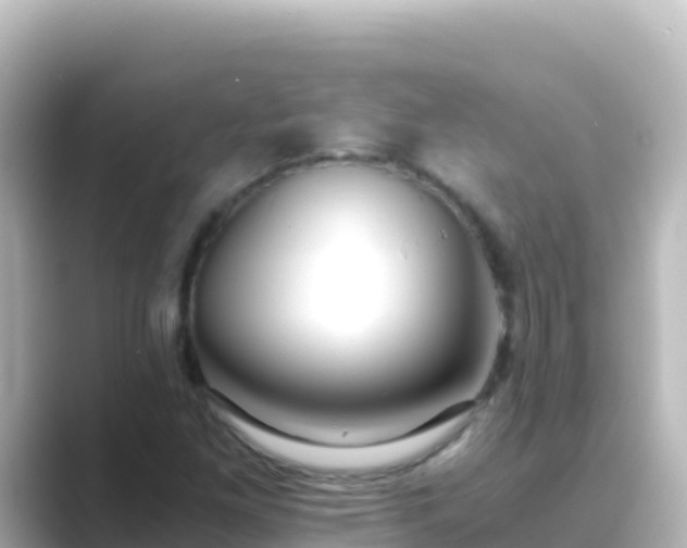 X0000089431261200706221205