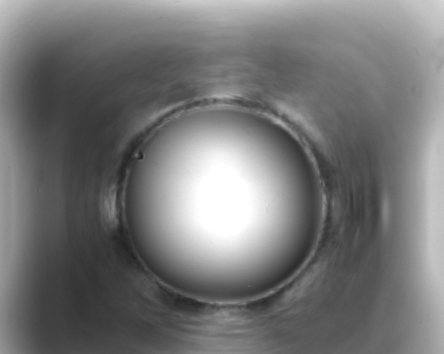 X0000089431262200706221205