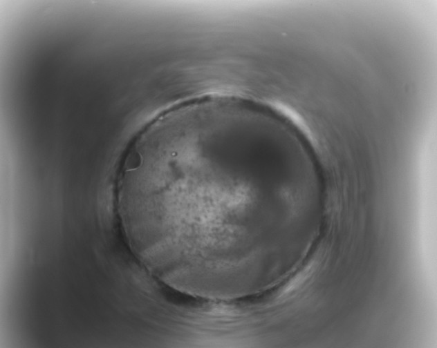 X0000089431263200706221205