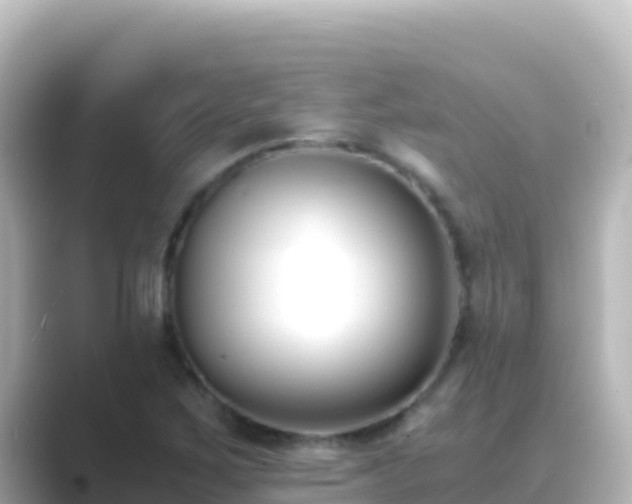 X0000089431267200706221205