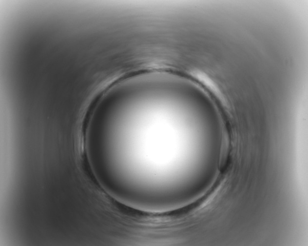 X0000089431269200706221205
