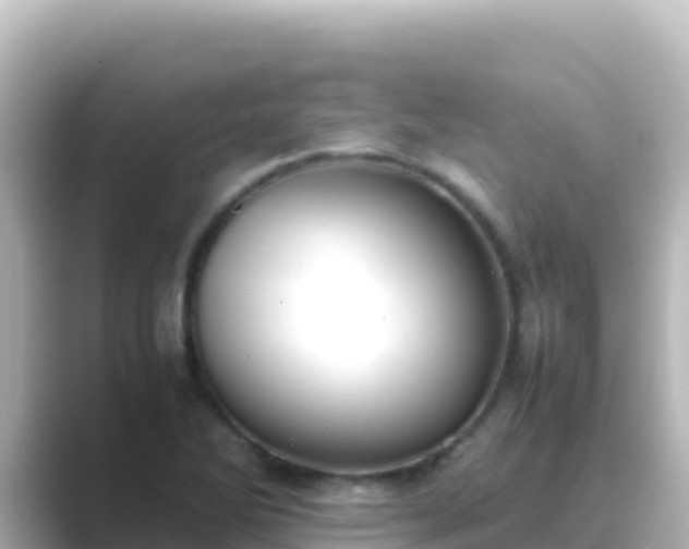 X0000089431270200706221205