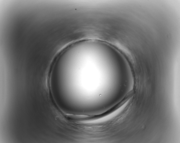 X0000089431272200706221205