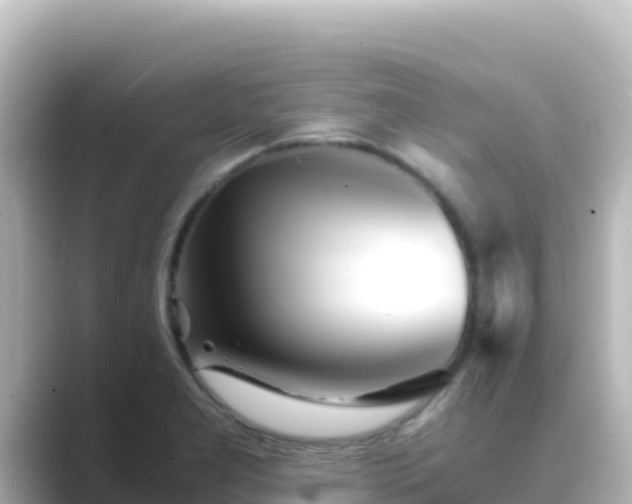X0000089431277200706221205