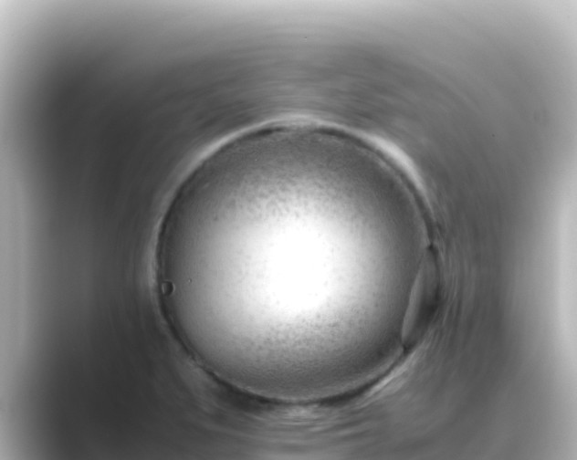 X0000089431279200706221205