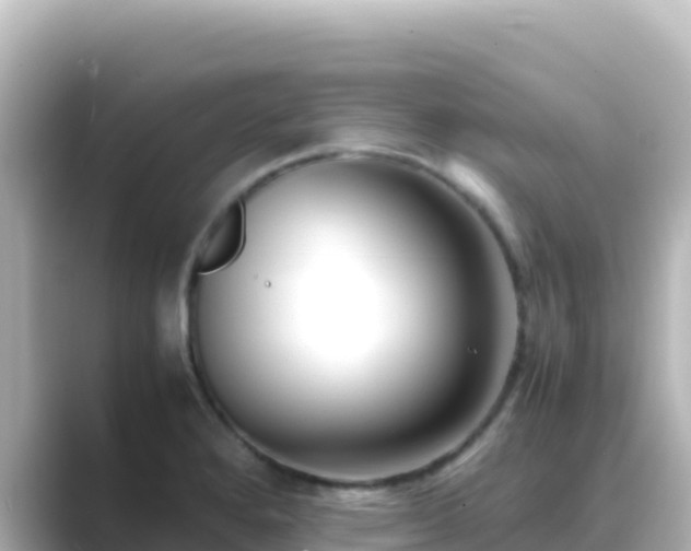 X0000089431280200706221205
