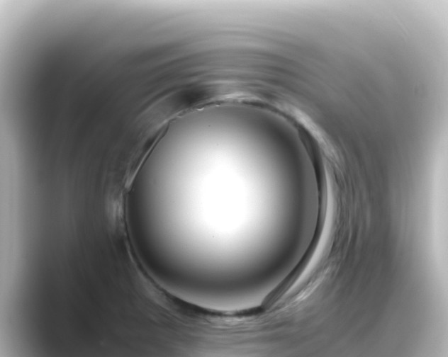 X0000089431281200706221204