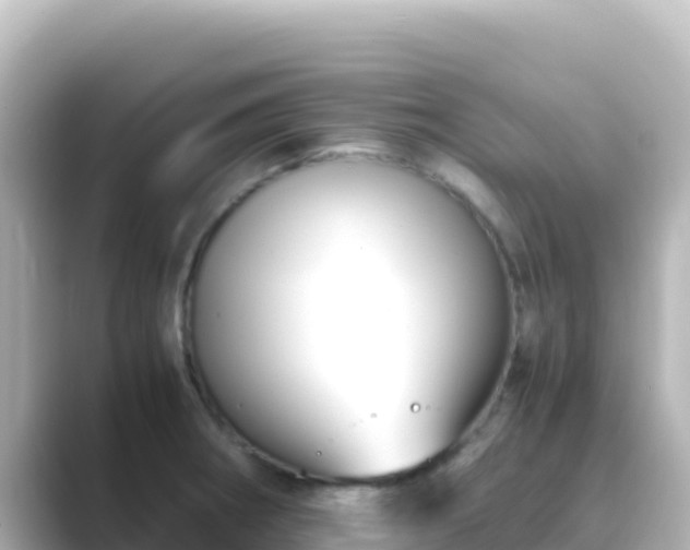 X0000089431282200706221204