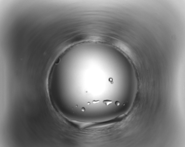 X0000089431283200706221204