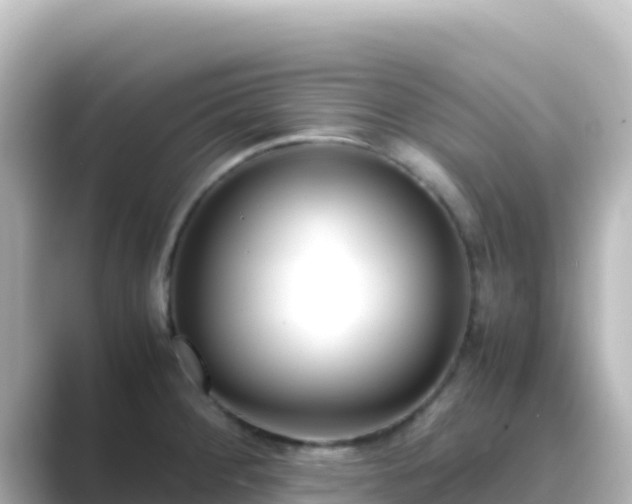 X0000089431284200706221204