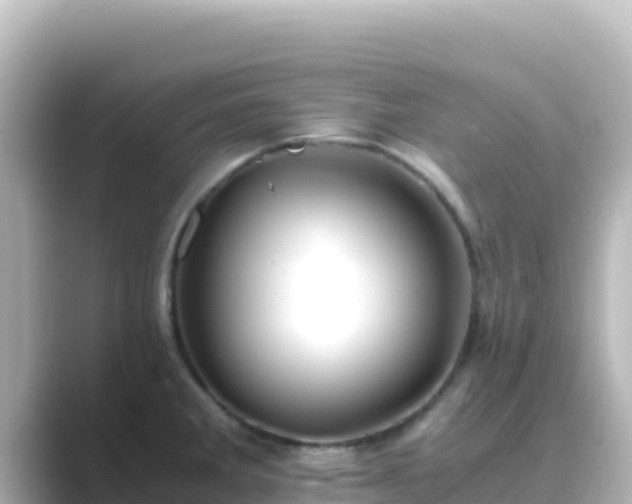 X0000089431285200706221204