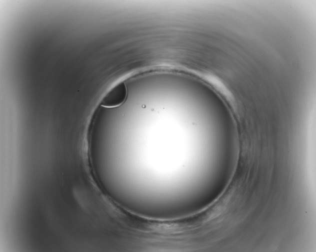 X0000089431287200706221204