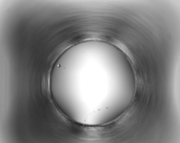 X0000089431290200706221204