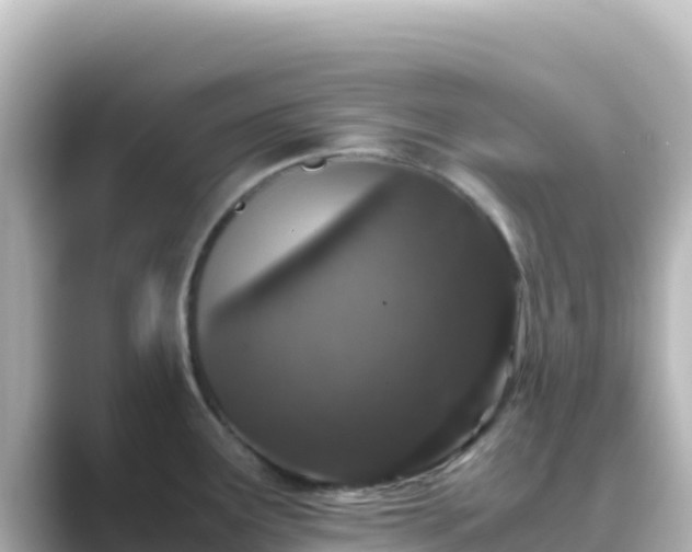 X0000089431291200706221204