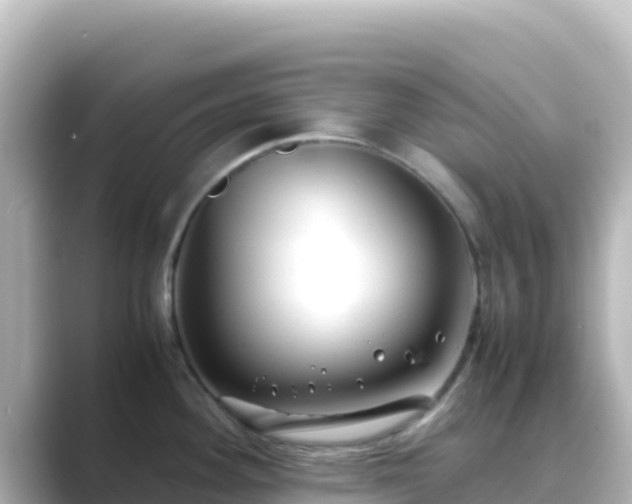 X0000089431292200706221204