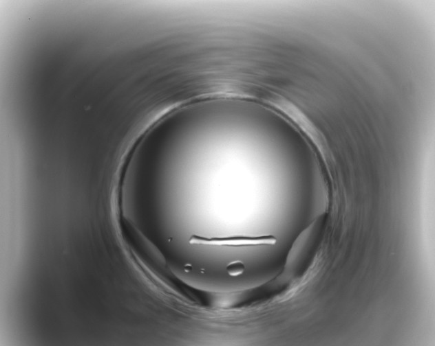 X0000089431293200706221204