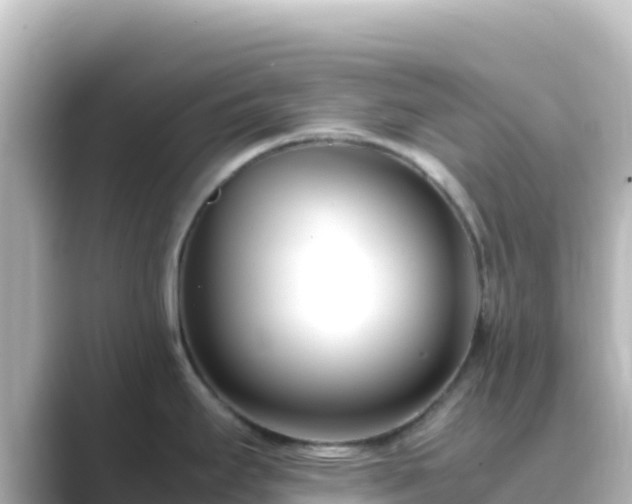 X0000089431295200706221204