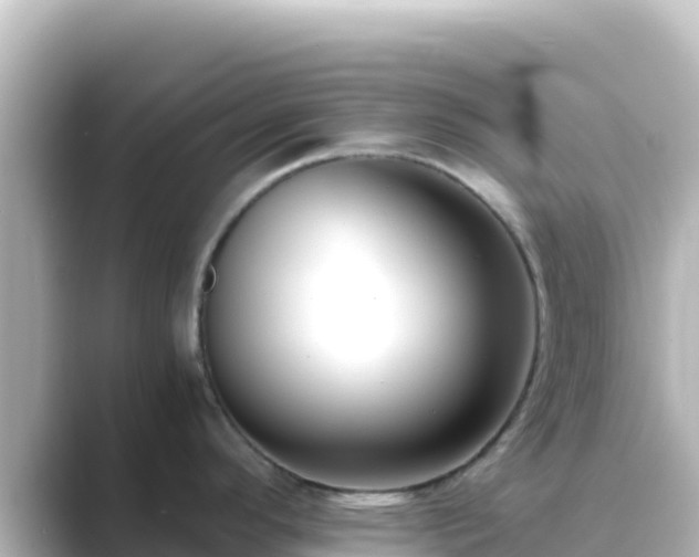 X0000089431296200706221204