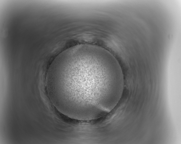 X0000089431297200706221204
