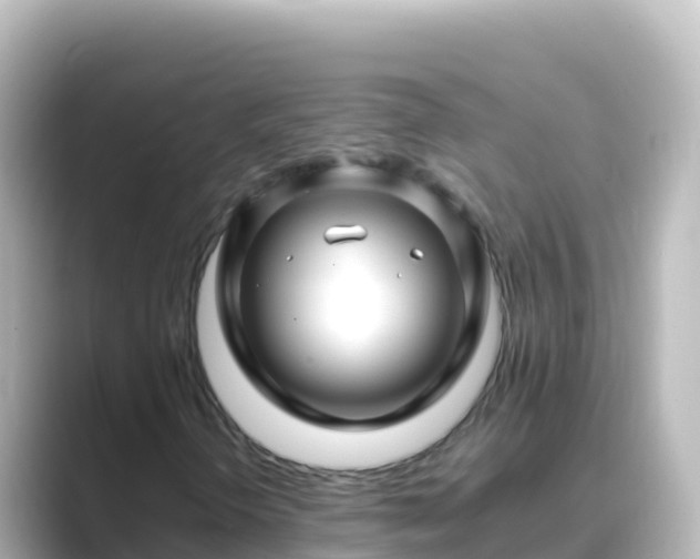 X0000089431298200706221204