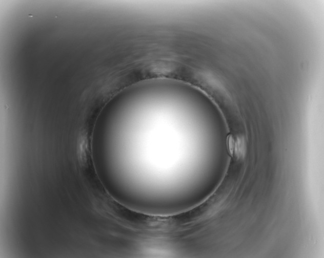 X0000089431299200706221204
