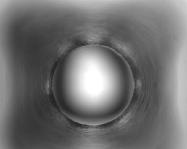 X0000089431300200706221204