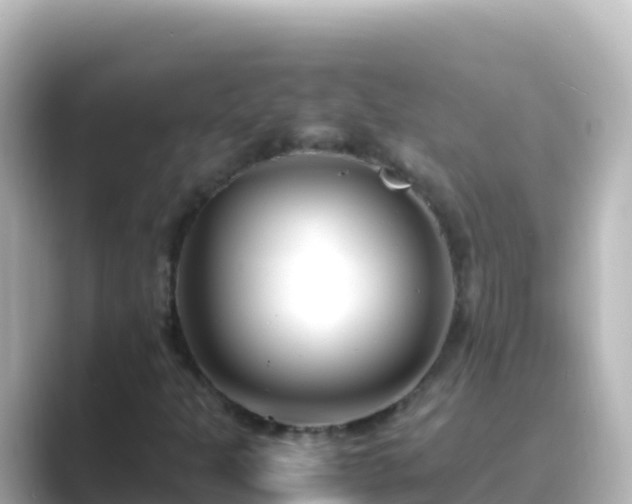 X0000089431301200706221204