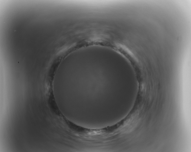X0000089431303200706221204