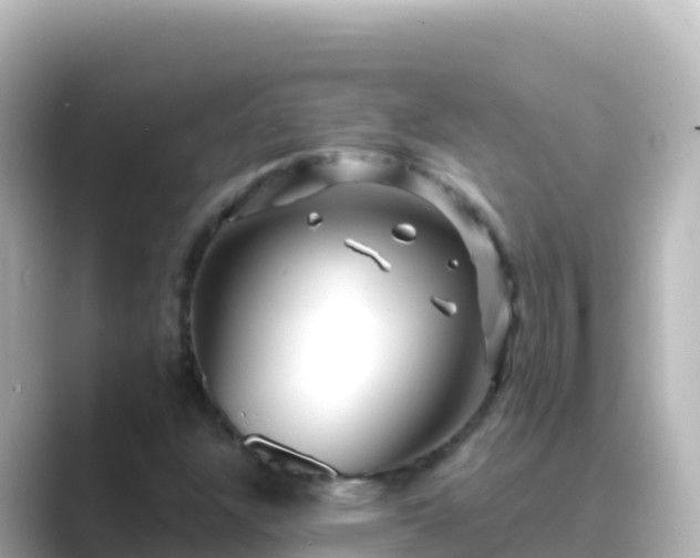 X0000089431304200706221204