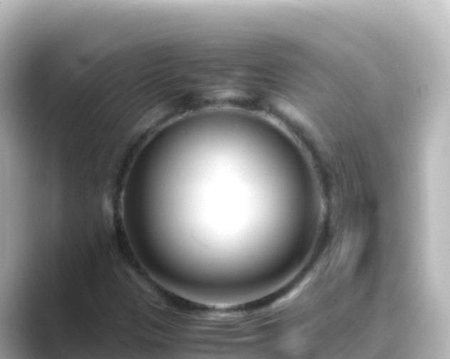 X0000089431305200706221204