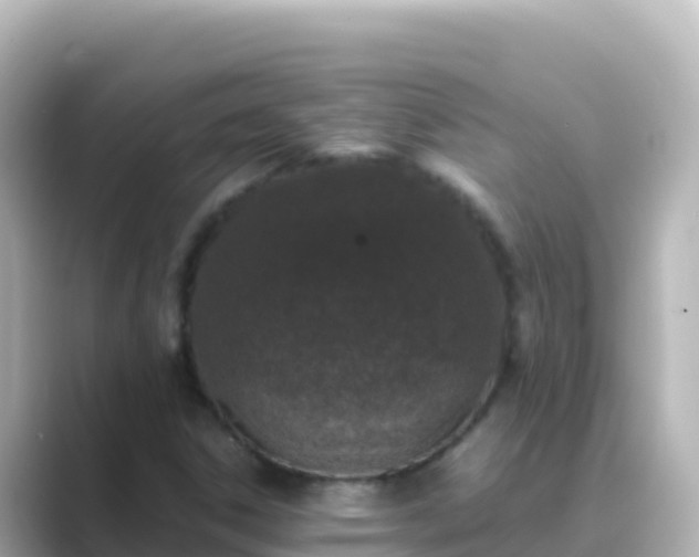 X0000089431306200706221204