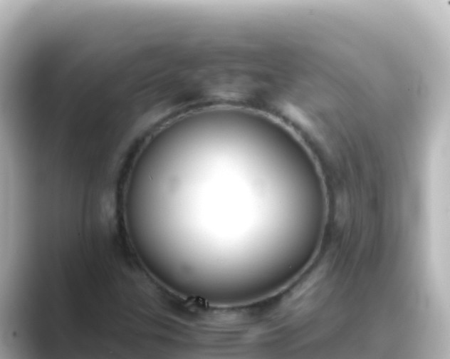 X0000089431307200706221204
