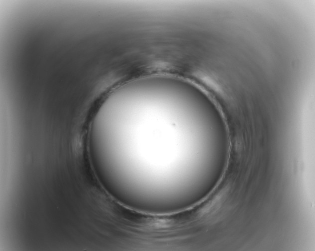 X0000089431309200706221204
